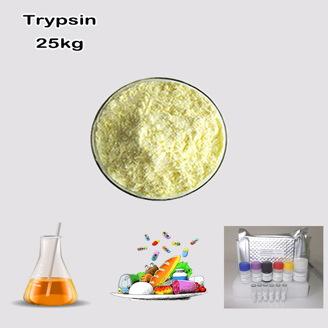 Manufacturer Supply High Quality Best Pice Trypsin (from bovine pancreas) CAS 9002-07-7 with good service