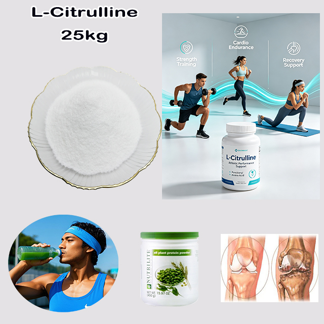 Chemical Factory Supply Sport Food Grade High Quality L(+)-Citrulline CAS 372-75-8 with good service