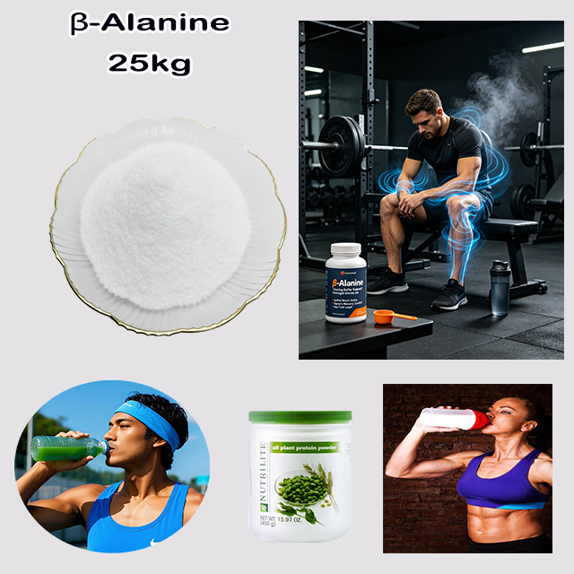 Chemical Factory Supply High Quality Sport Support Power Beta-Alanine CAS 107-95-9 with good service
