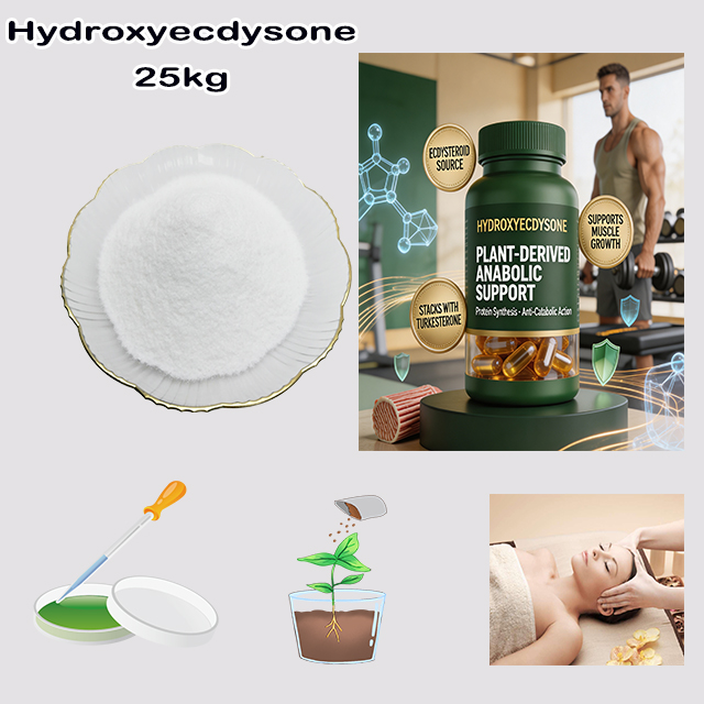Factory Supply Hot Selling High Purity Hydroxyecdysone CAS 5289-74-7 use for sport keep fit products