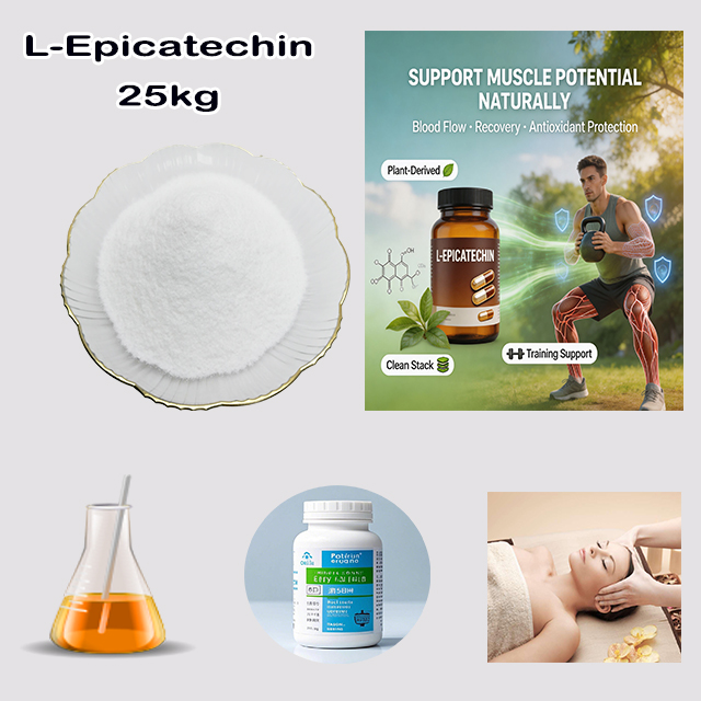 Chemical Manufacturer Supply Best Price High Quality L-Epicatechin CAS 490-46-0 for sport muscle growth products for sale