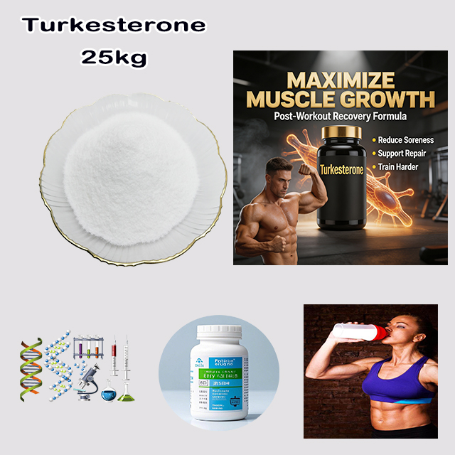 Manufacturer Supply Hot Selling High Quality turkesterone CAS 41451-87-0 for Sport Muscle building products for sale