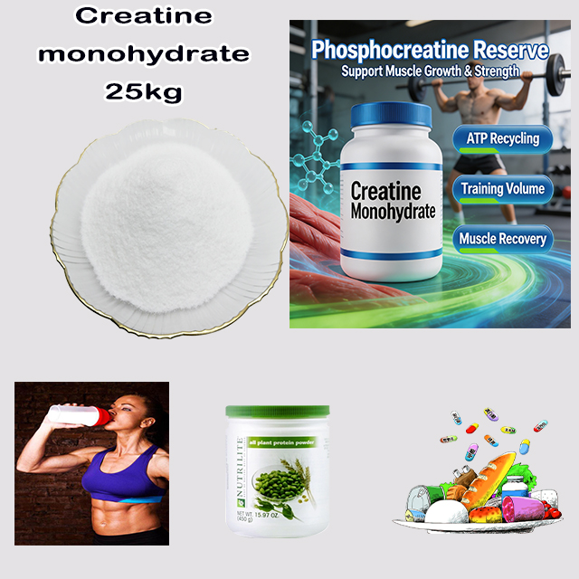 China Source Factory Supply High Quality Creatine Monohydrate CAS 6020-87-7 with good service