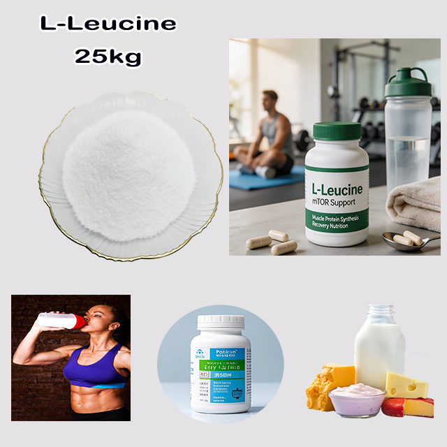 Source Factory Supply Hot Selling High Quality 99.4% L-Leucine CAS 61-90-5 for sport support products for sale