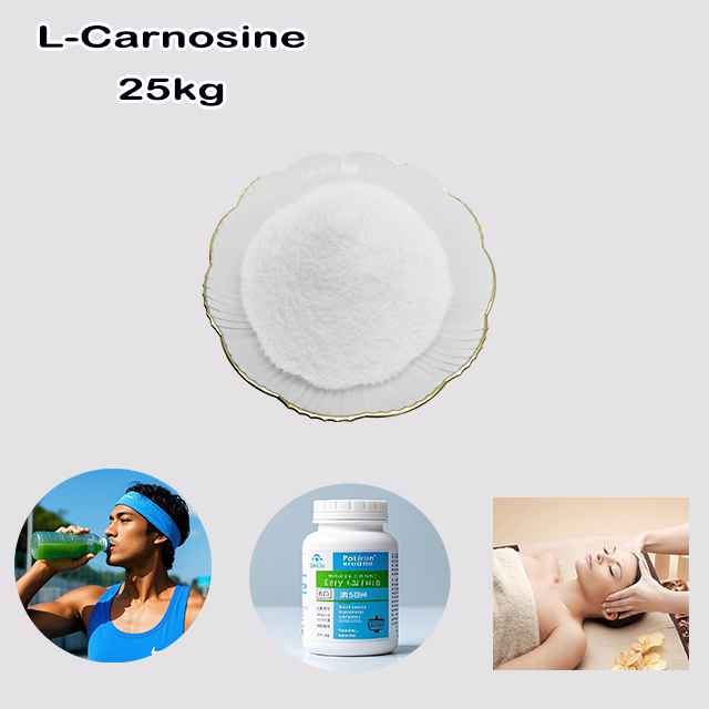 Factory Supply Hot Sale High Quality 99.38% sport raw ingredients L-Carnosine CAS 305-84-0 with good service for sale