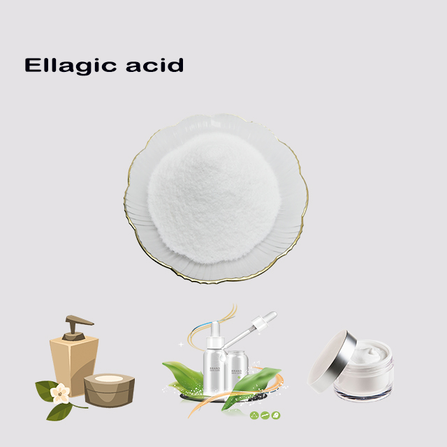 China supplier Ellagic acid CAS 476-66-4 with fast delivery