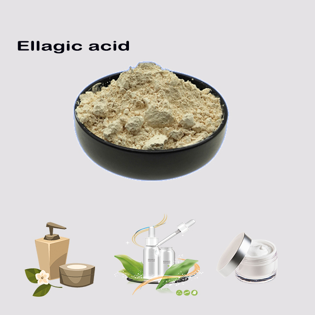 China supplier Ellagic acid CAS 476-66-4 with fast delivery for sale