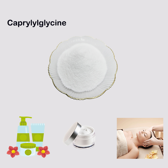 China supplier Caprylylglycine CAS 14246-53-8 with fast delivery for sale