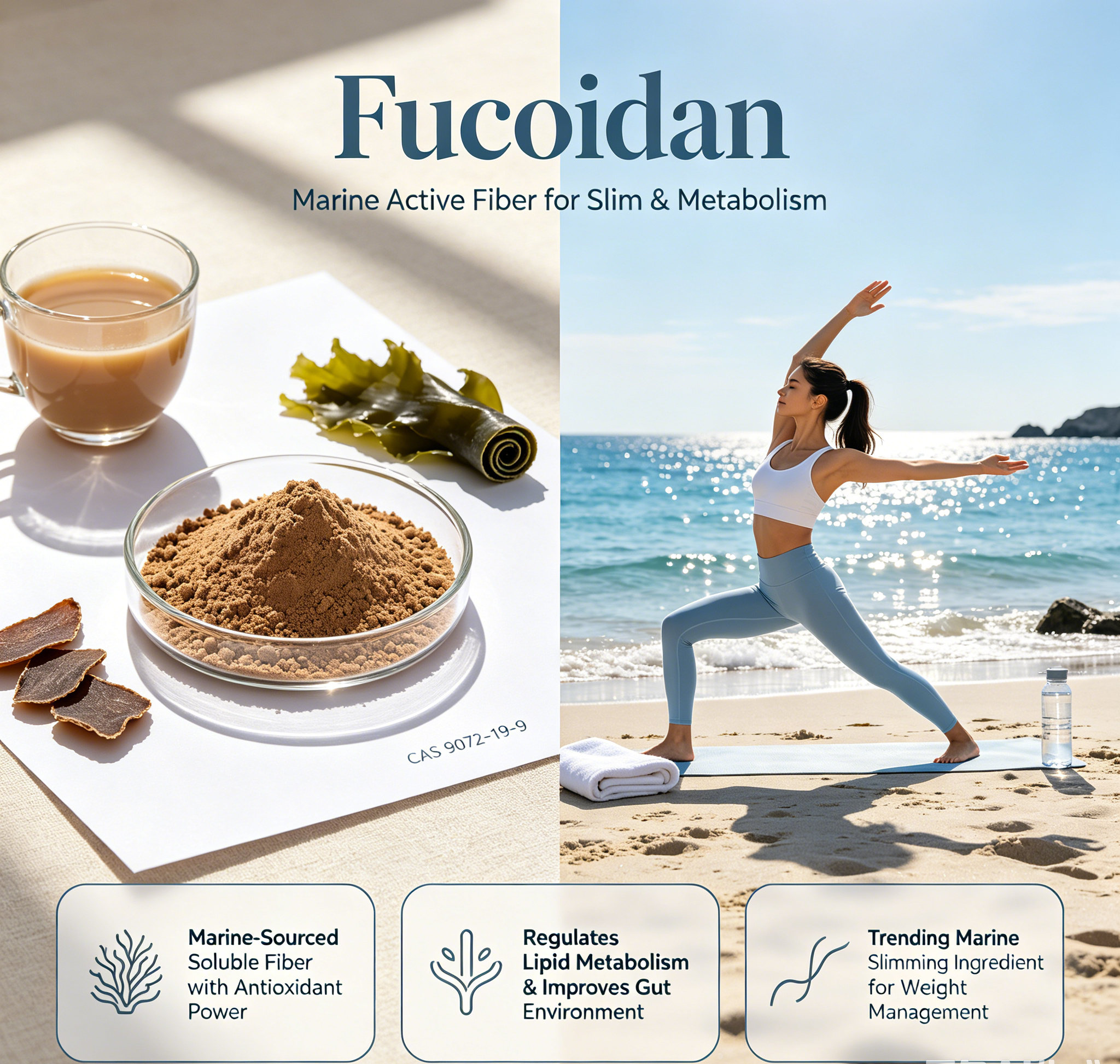 Sport Slimming Chemical Manufacturer Supply High Quality 95.1 Fucoidan CAS 9072-19-9 with good service for sale