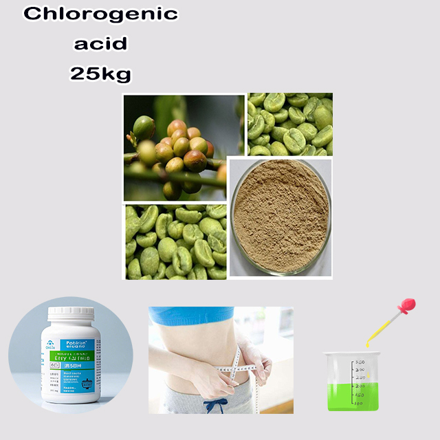 Supplier Sport Food Grade High Quality Best Price Chlorogenic acid CAS 327-97-9 with good service