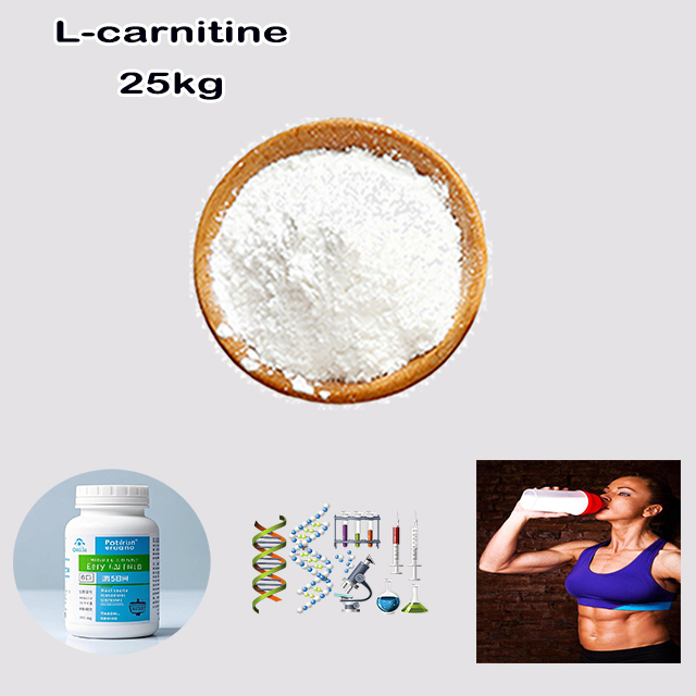 Manufacturer Supply High Quality Best Price Body Slim Product L-Carnitine CAS 541-15-1 with good service for sale