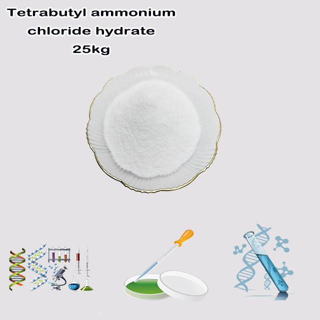 Chemical Factory Supply High Quality Best Price Tetrabutyl ammonium chloride hydrate CAS 37451-68-6 with good service for sale