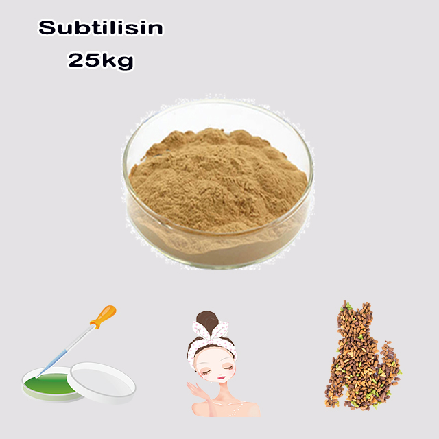 Chemical Factory Supply High Quality Best Price bacillopeptidaseb CAS 9014-01-1 with good service for sale