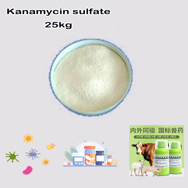 China Factory Supply High Quality Low Price Kanamycin sulfate CAS 133-92-6 with good service for sale