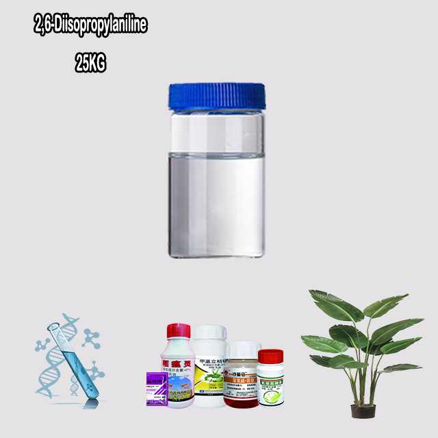 2,6-Diisopropylaniline (DIPA) CAS 24544-04-5