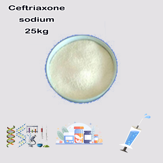 China Chemical Factory High Quality Best Price Ceftriaxone sodium CAS 74578-69-1 with good service for sale