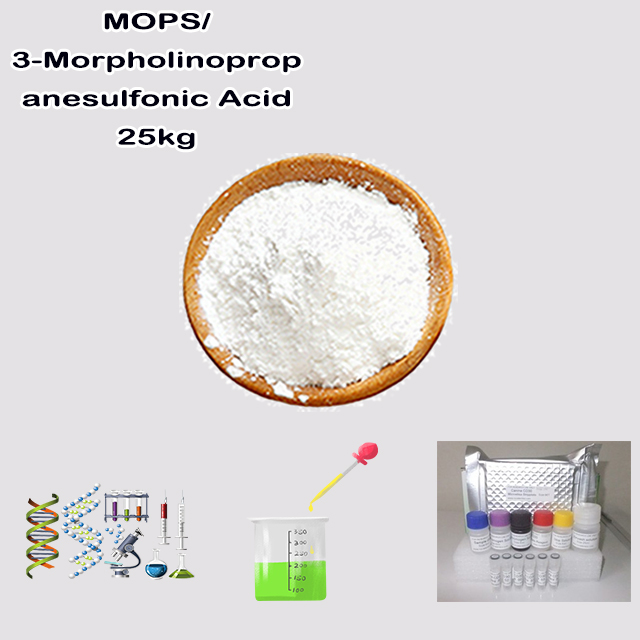 Chemical Factory High Quality Best Price MOPS/ 3-Morpholinopropanesulfonic Acid CAS 1132-61-2 with good service
