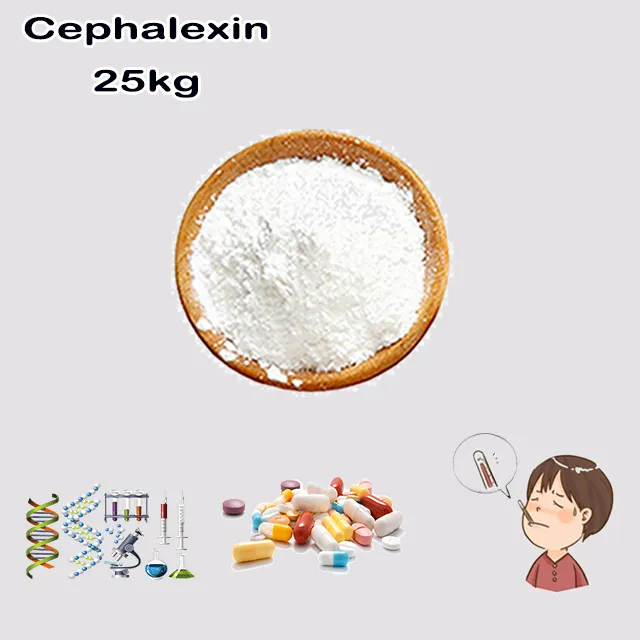 Chemical Factory Supply High Quality Best Price Cephalexin CAS 15686-71-2 with good service