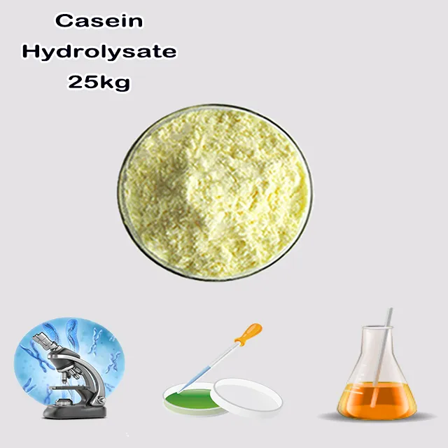 Chemical Manufacturer Supply High Quality Best Price Casein Hydrolysate CAS 91079-40-2 with good service for sale