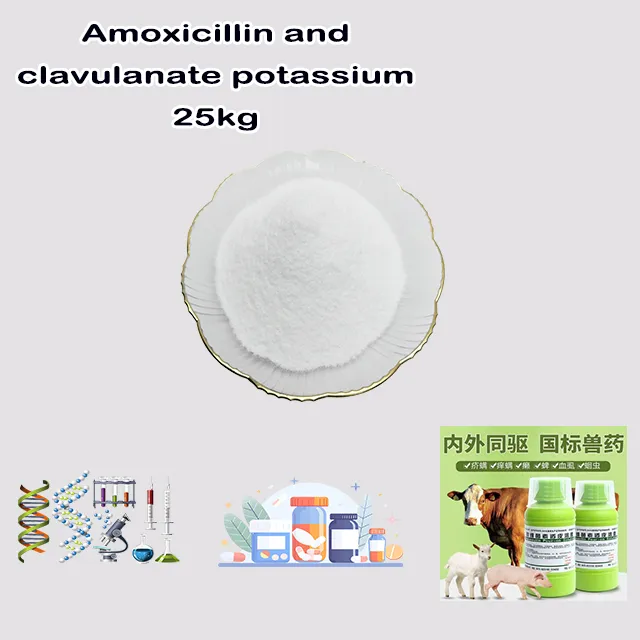 Chemical Manufacturer Supply High Quality Amoxicillin and clavulanate potassium with good service for sale